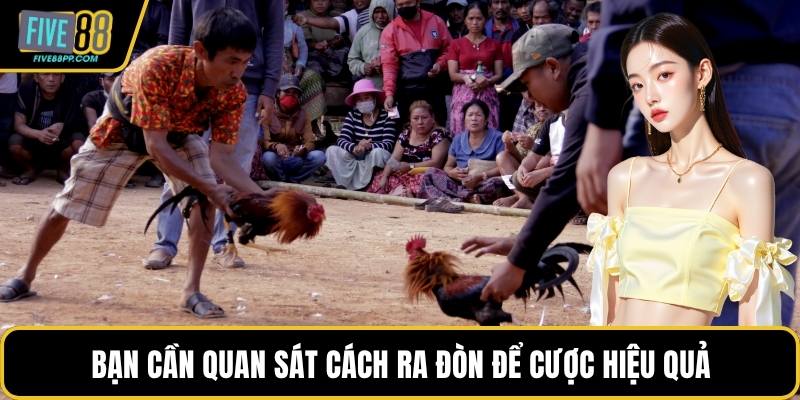 Bạn cần quan sát cách ra đòn để cược hiệu quả