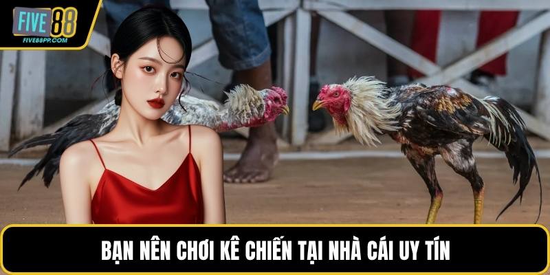 Bạn nên chơi kê chiến tại nhà cái uy tín
