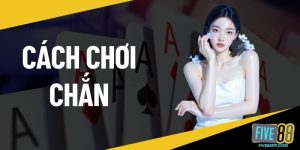 Cách chơi chắn