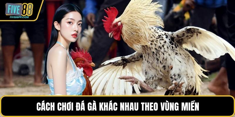 Cách chơi đá gà khác nhau theo vùng miền