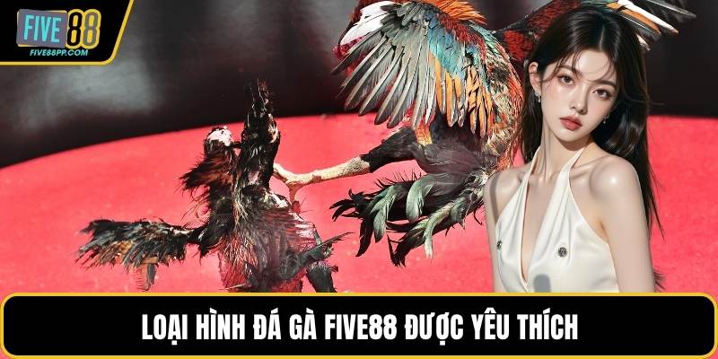 Loại hình đá gà FIVE88 được yêu thích