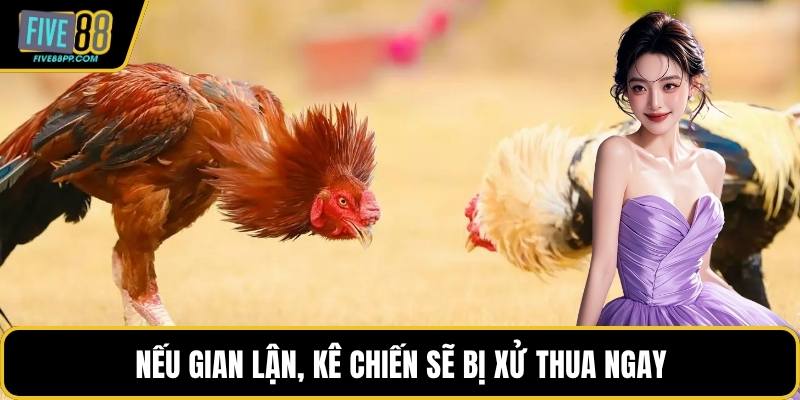 Nếu gian lận, kê chiến sẽ bị xử thua ngay