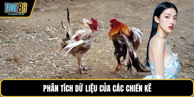 Phân tích dữ liệu của các chiến kê